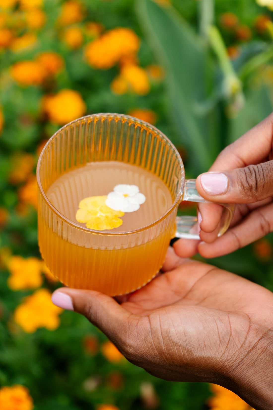 Tummy TEAtox | Smooth Digestive Tea