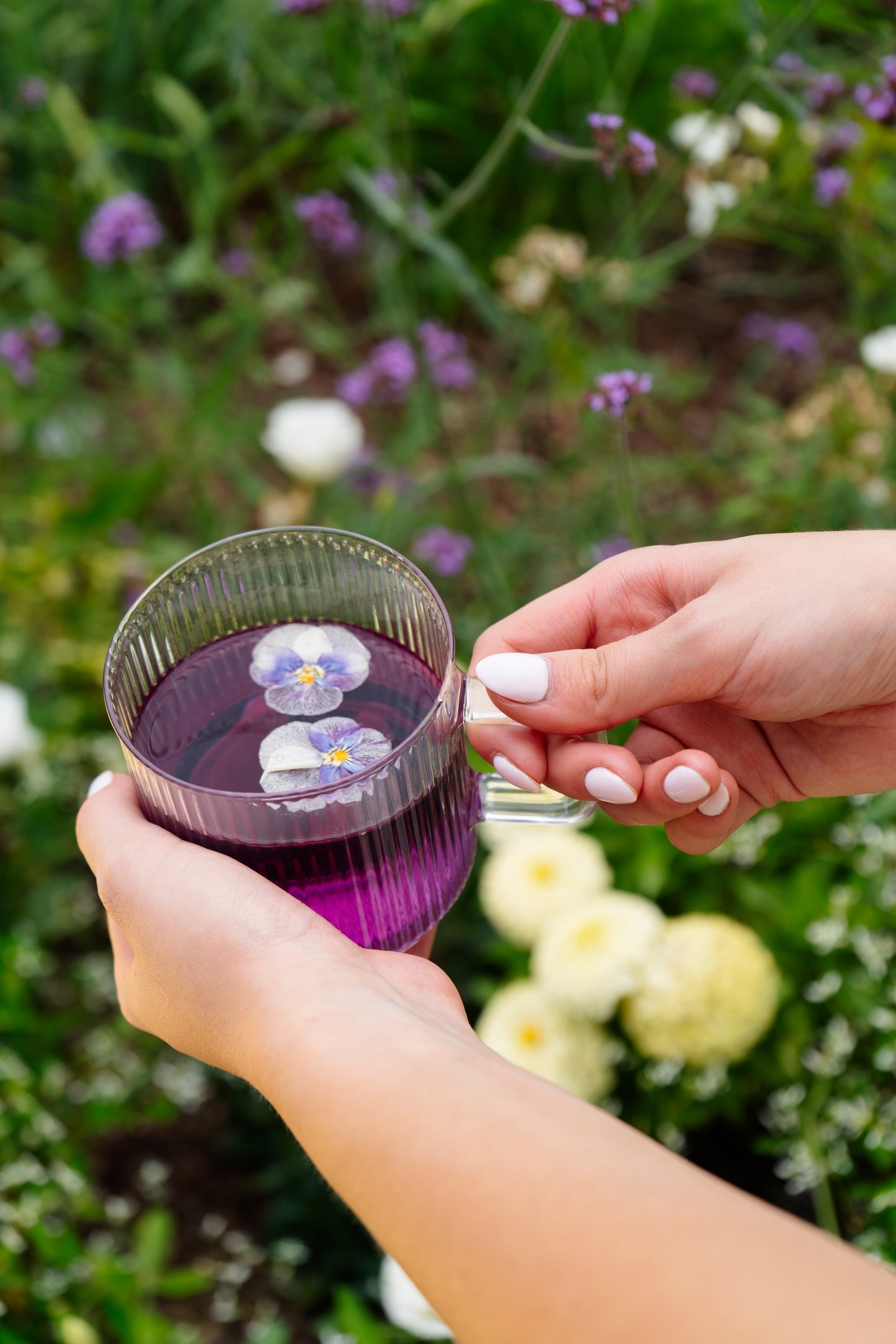 Lavender Dreams