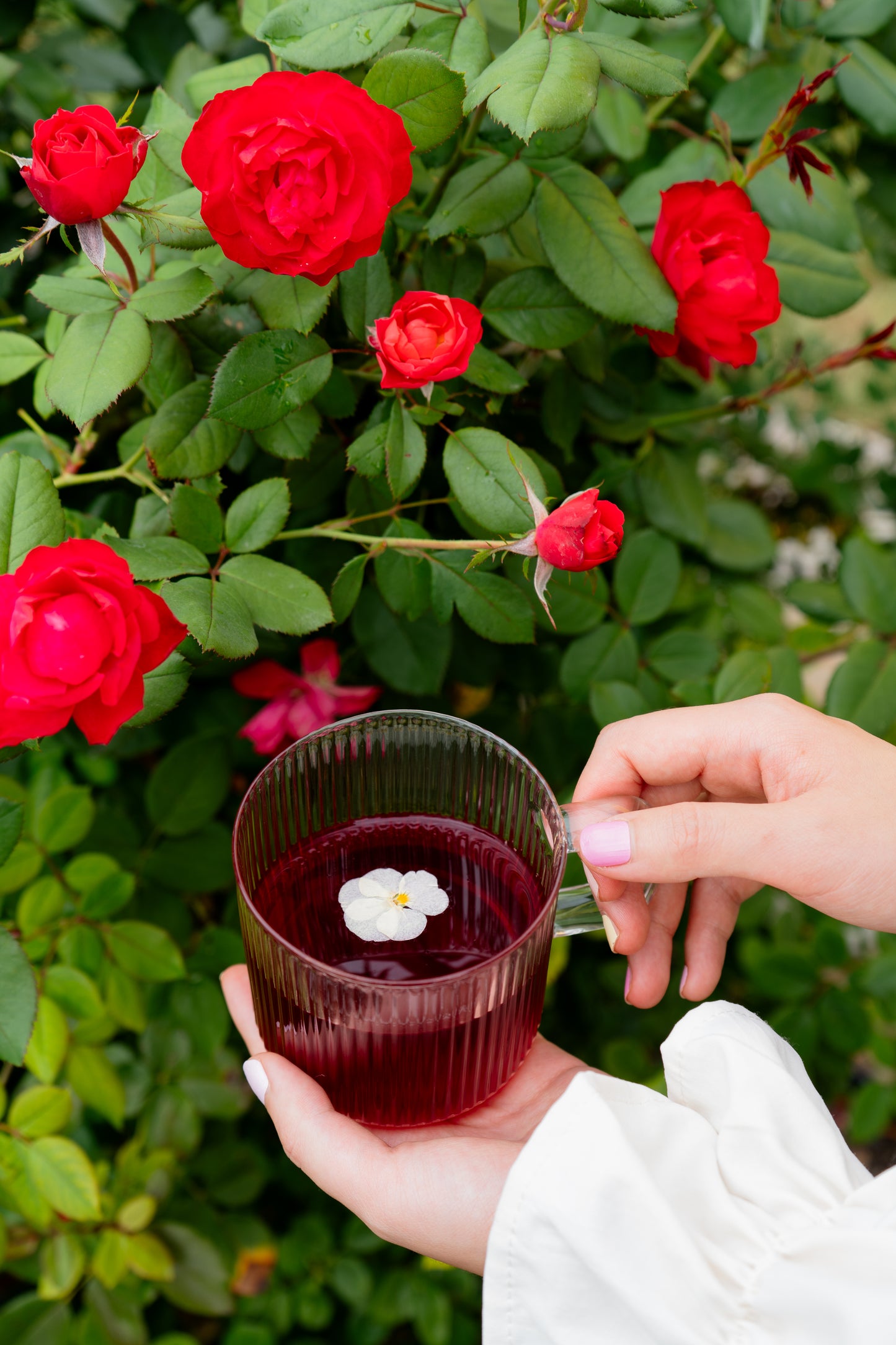 Beau-TEA-Ful